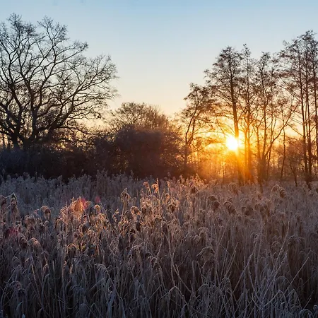 408-kleinis Tiny House Mit Kamin Bis 4 Pers Дом отдыха Блеккеде