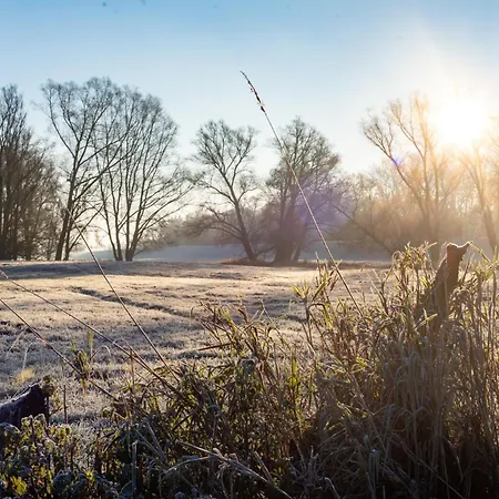 408-kleinis Tiny House Mit Kamin Bis 4 Pers *